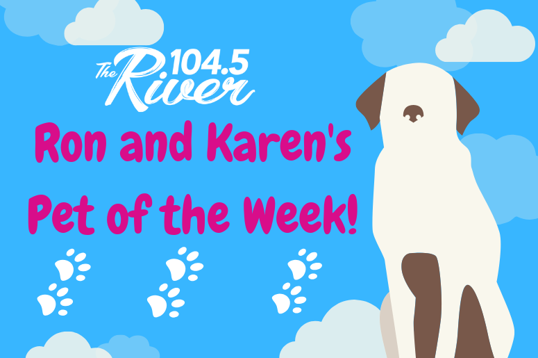 Ron and Karen's Pet of the Week