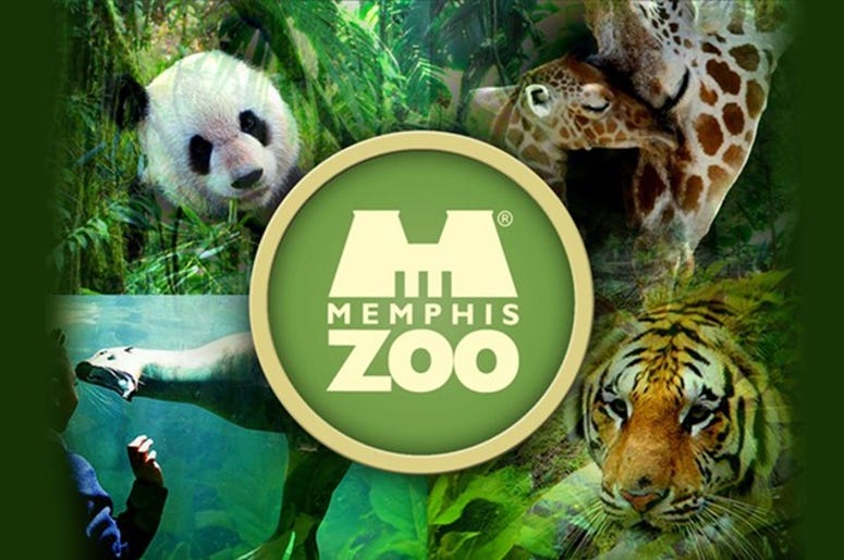 Zoo