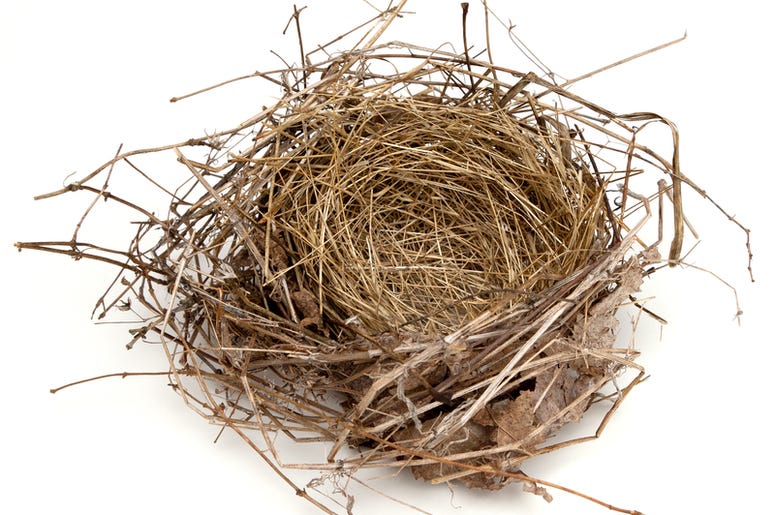 Empty Nest Syndrome Only Lasts About Three Months Empty Nest Syndrome Only Lasts About Three Months