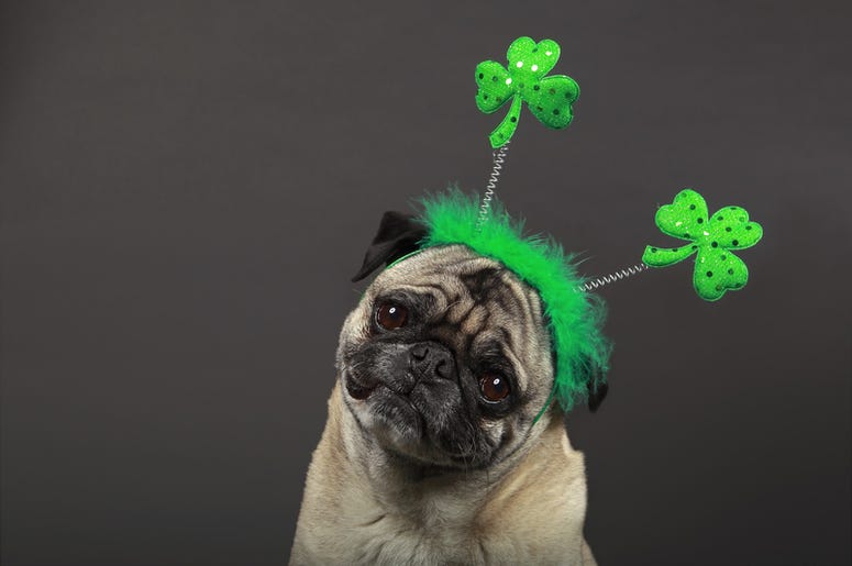 The Best and Worst Cities For Celebrating St. Patrick's Day