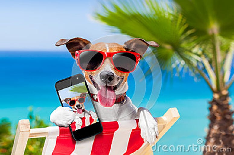 Summer tips