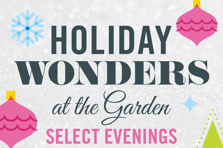 Holiday Wonders