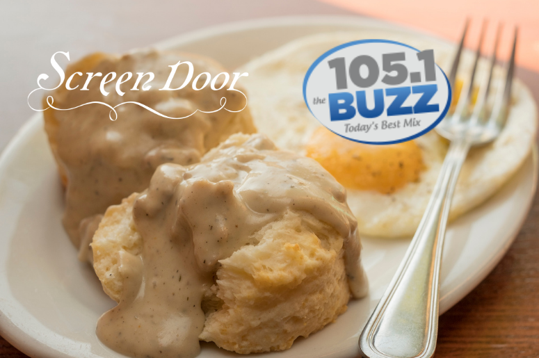 screen door