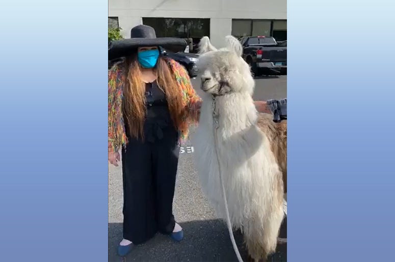 Caesar No Drama Llama, Portland, George Floyd, Liz and Mike in the Morning, 105.1 The Buzz, KRSK-FM