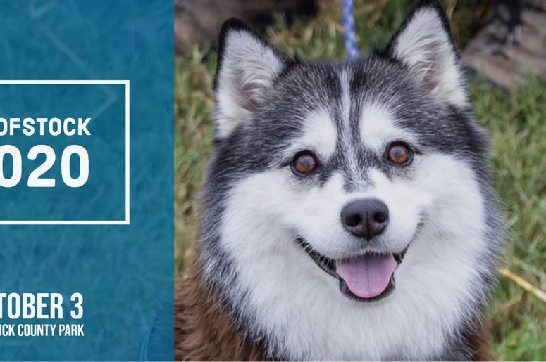 Woofstock, Kansas Humane Society