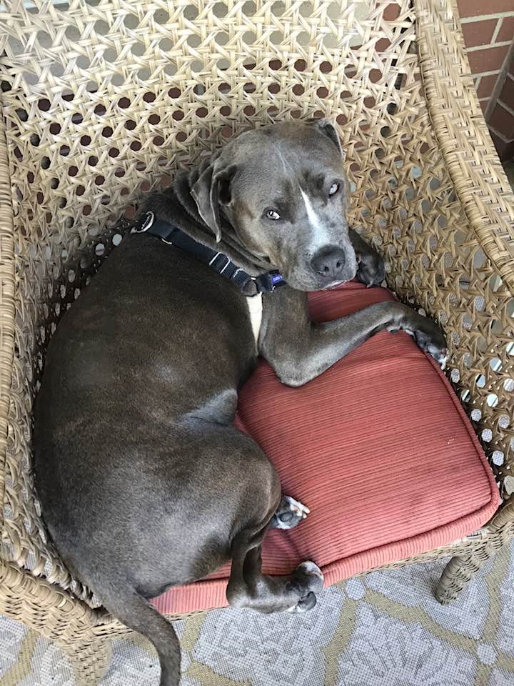 Baron