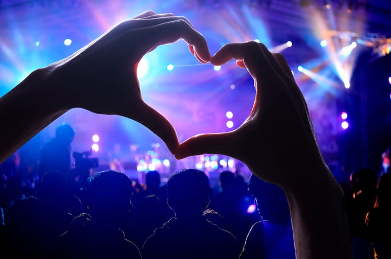 concert crowd