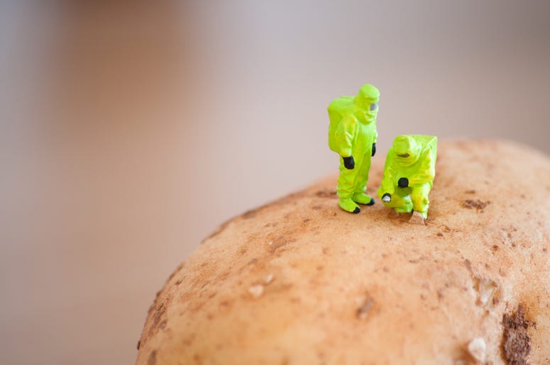 Potato science Potato science