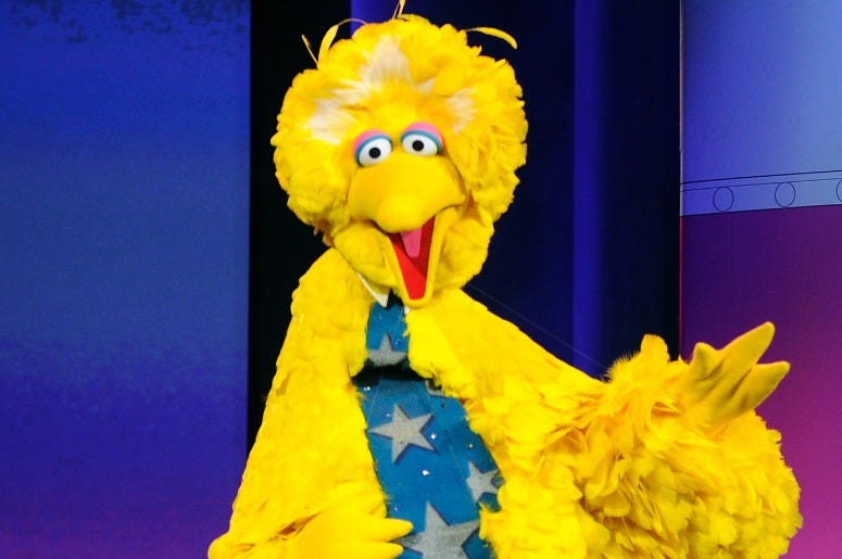 Big Bird Big Bird