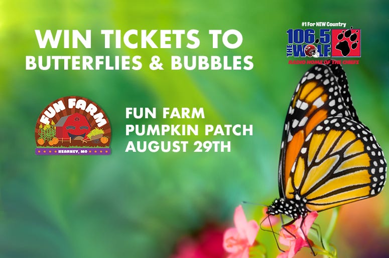 BUTTERFLIES & BUBBLES