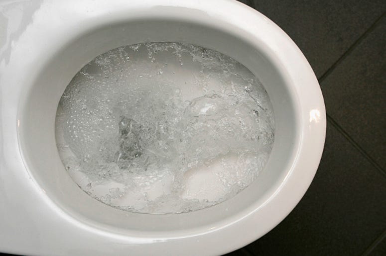 toilet