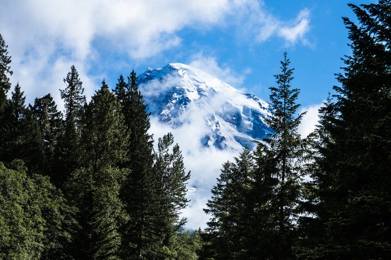 Mt Rainier