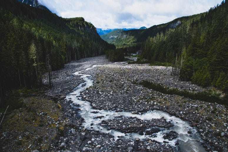 Nisqually River