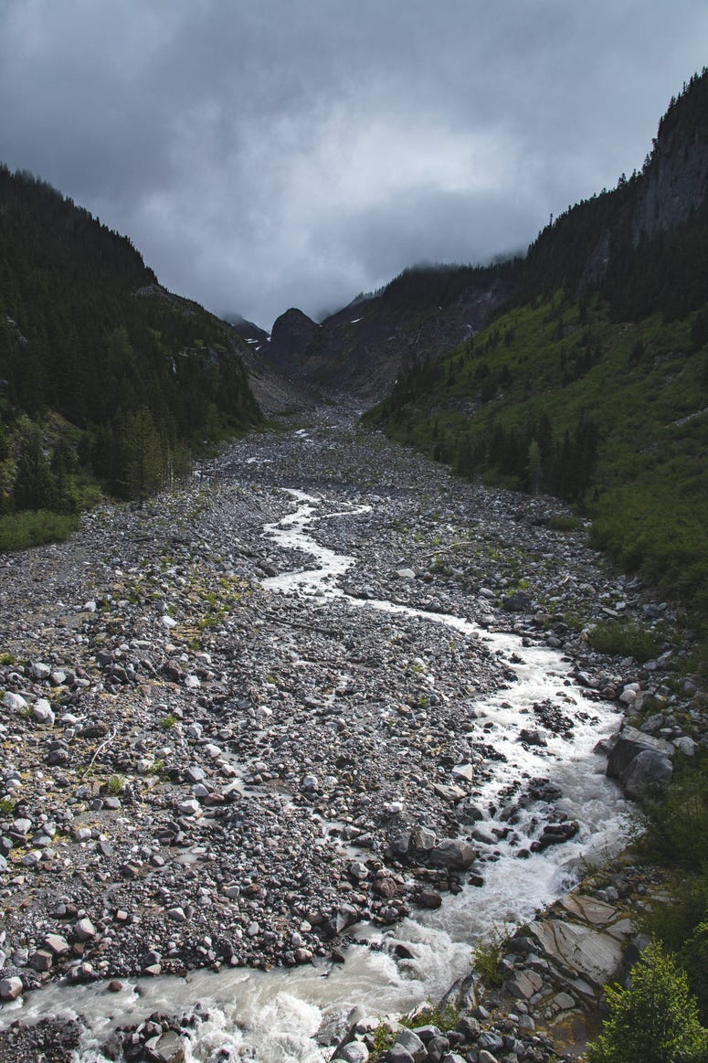 Nisqually River