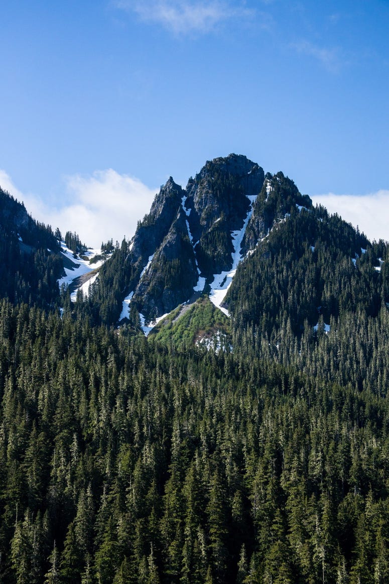Paradise, WA
