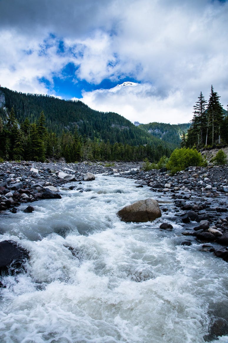 Mt Rainier
