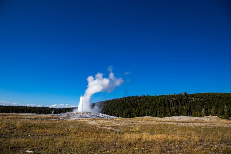 Yellowstone National Park
