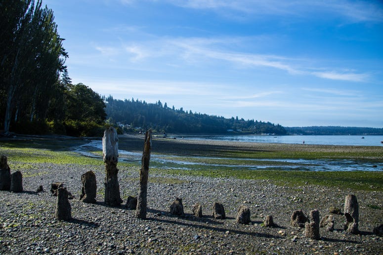 Washington Coastline