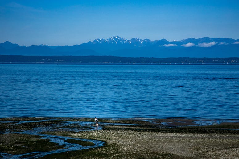 Washington Coastline