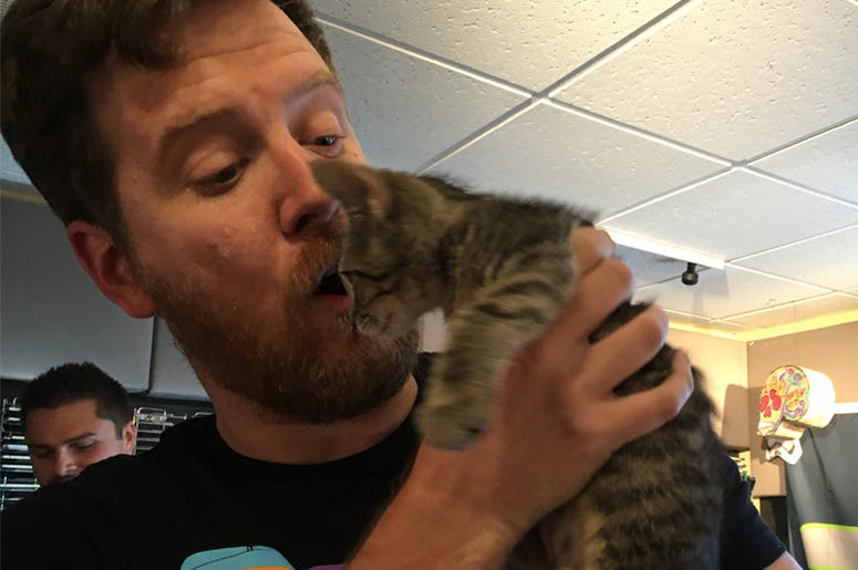 Gregr + kitten Gregr + kitten