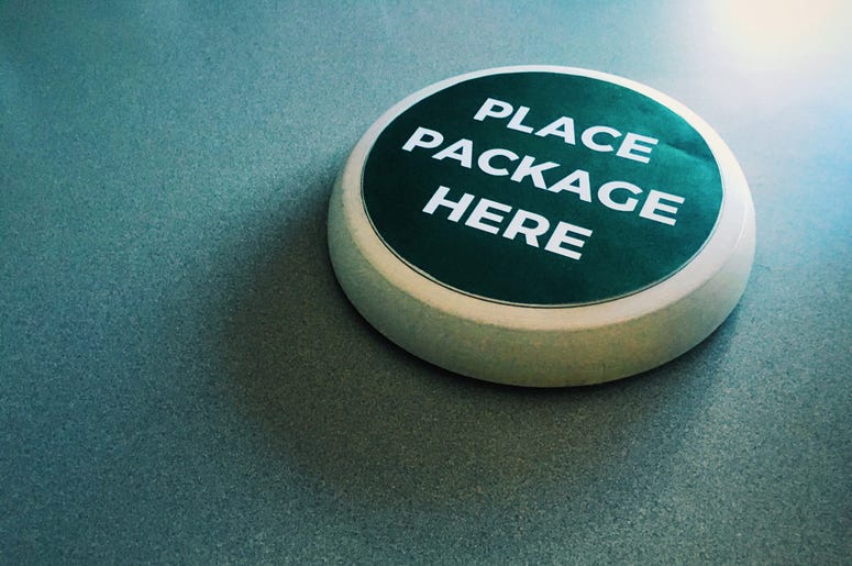 The Package Guard The Package Guard