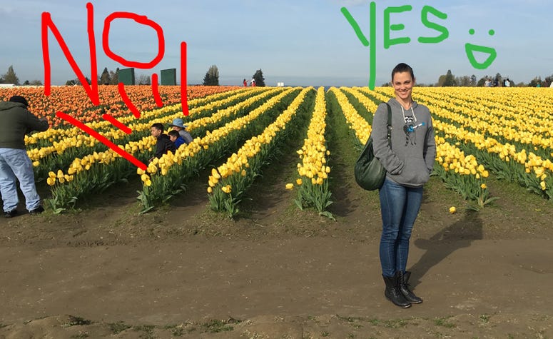 Tulip Festival 2016 Tulip Festival 2016