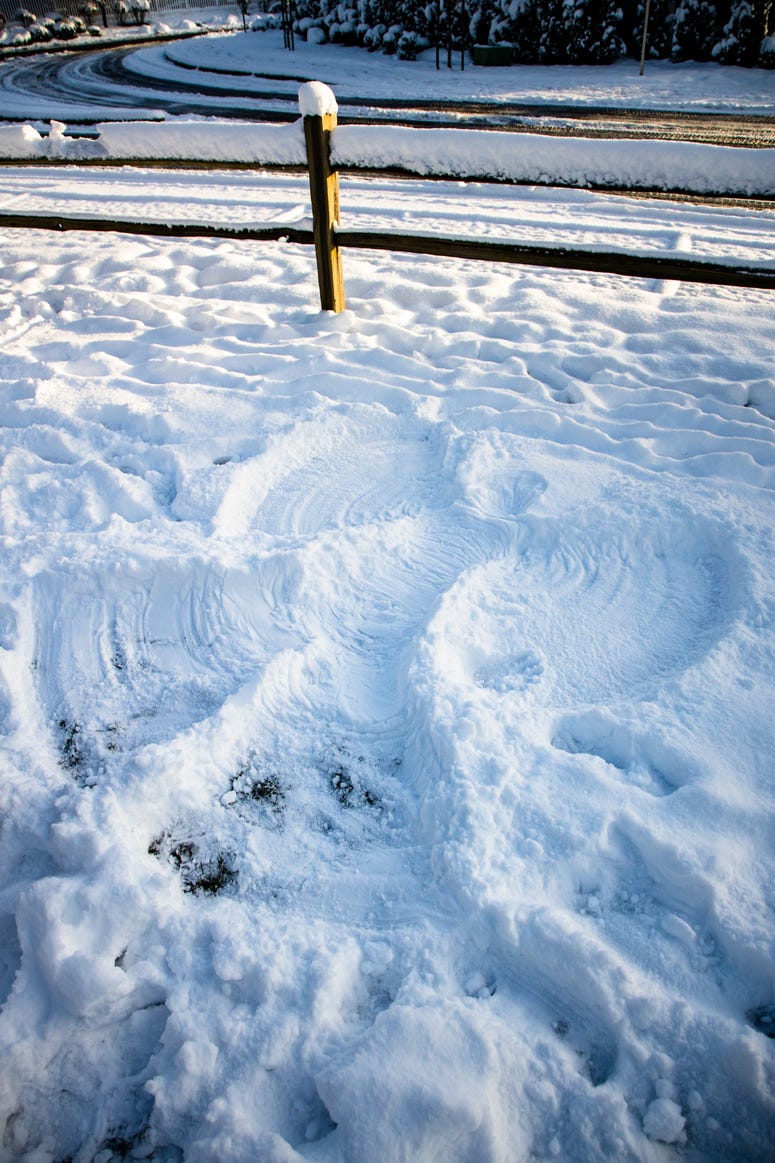 Snow Angel