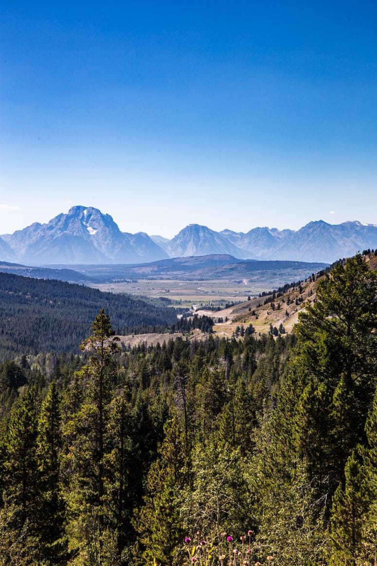 Yellowstone National Park