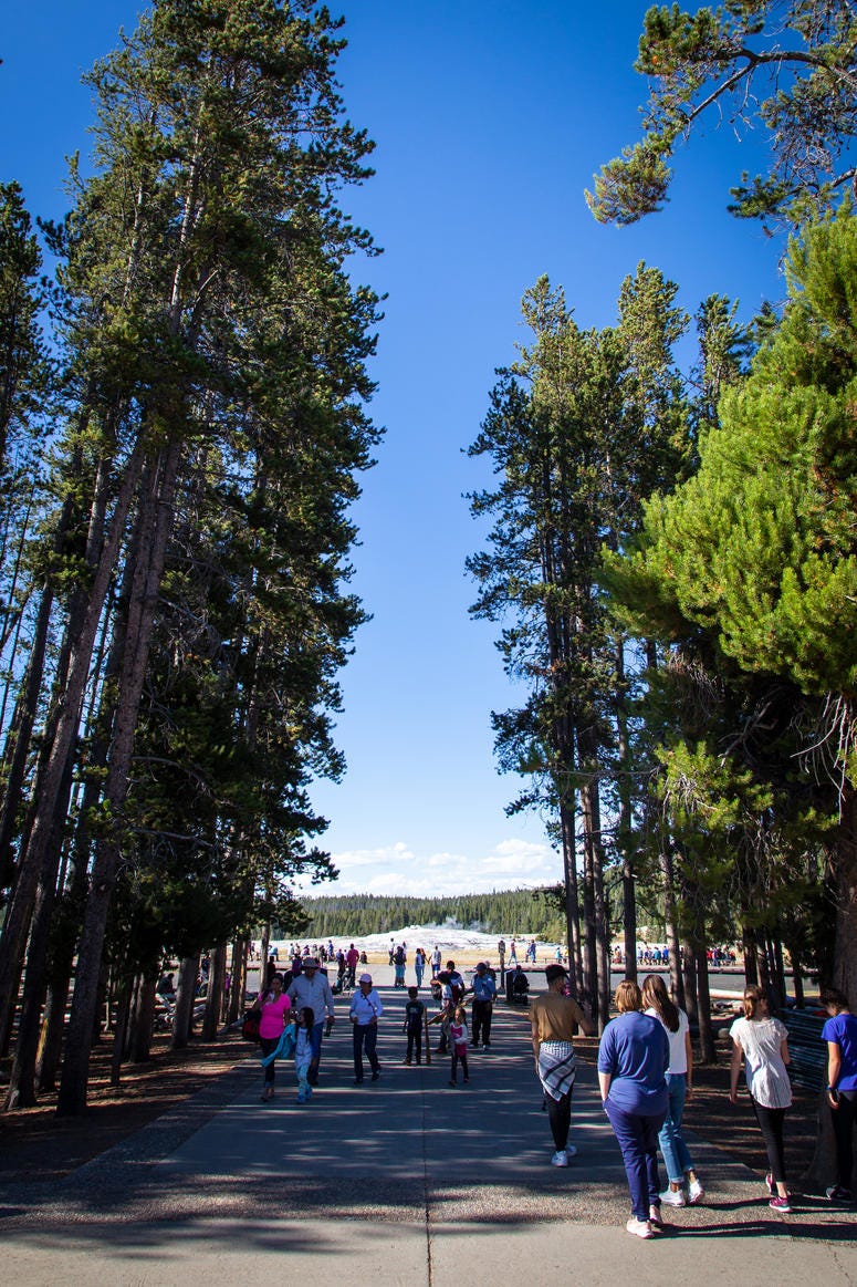 Yellowstone National Park
