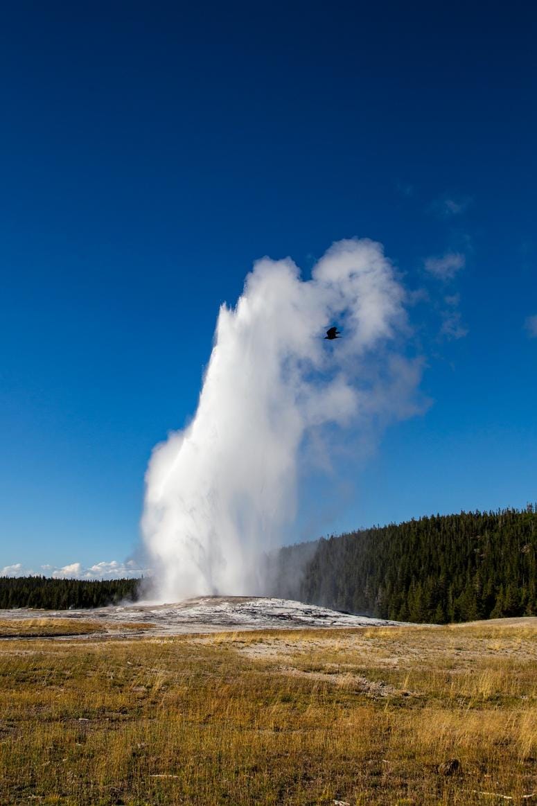 Yellowstone National Park