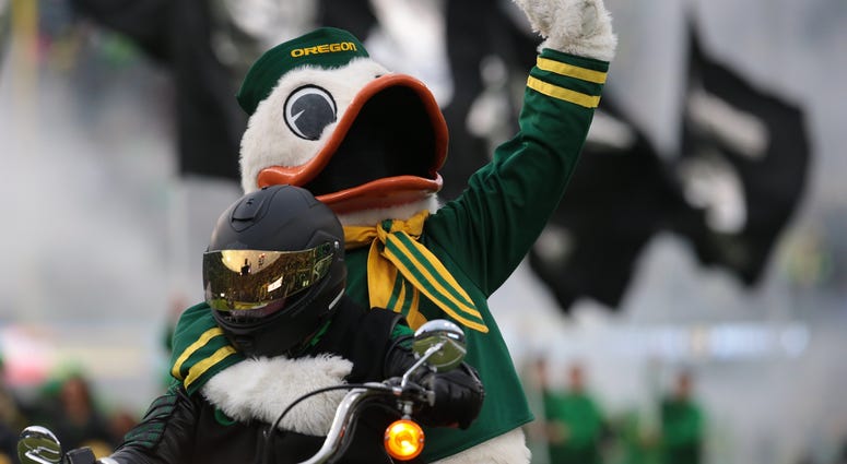 Oregon Ducks Mascot vs. Oregon State Oregon Ducks Mascot