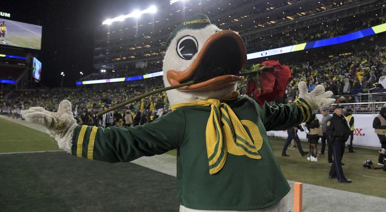Ducks