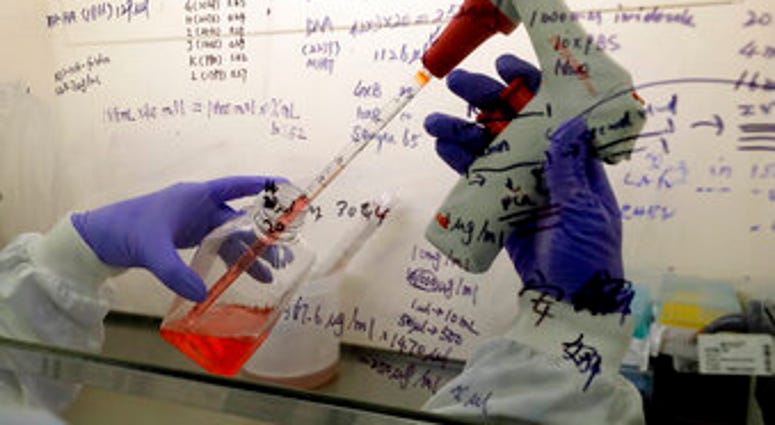 FILE - In this July 30, 2020 photo, Kai Hu, a research associate transfers medium to cells, in the laboratory at Imperial College in London. (AP Photo/Kirsty Wigglesworth) FILE - In this July 30, 2020 photo, Kai Hu, a research associate transfers medium to cells, in the laboratory at Imperial College in London. (AP Photo/Kirsty Wigglesworth)