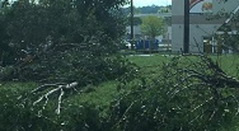 Damage following a tornado along Hull Street Road on September 17, 2018. (Matt Demlein, WRVA)