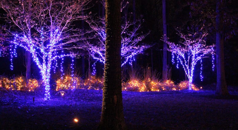 Light Up RVA