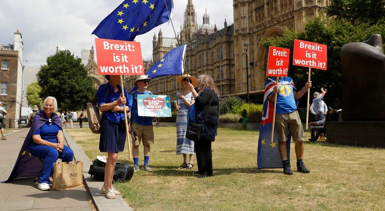 Anit-Brexit Supporters