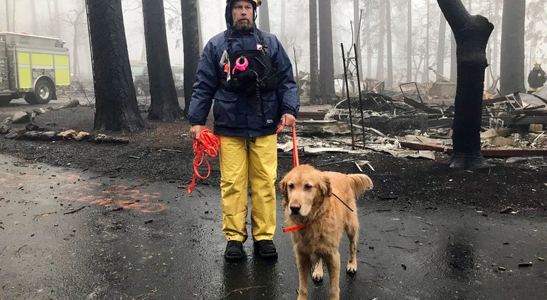 Eric Darling and his dog Wyatt are part of a search team from Orange County in Southern California who are among several teams conducting a second search of a mobile home park after the deadly Camp Fire in Paradise, Calif., Friday, Nov. 23, 2018.