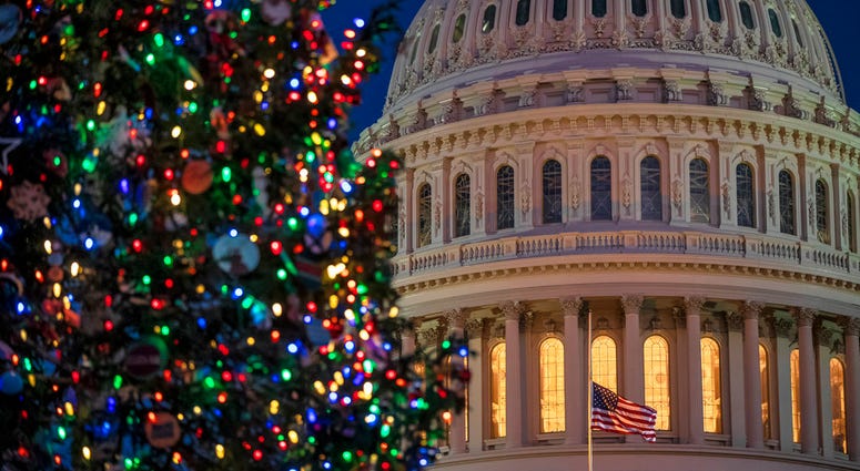 U.S. Capitol with Christmas Tree