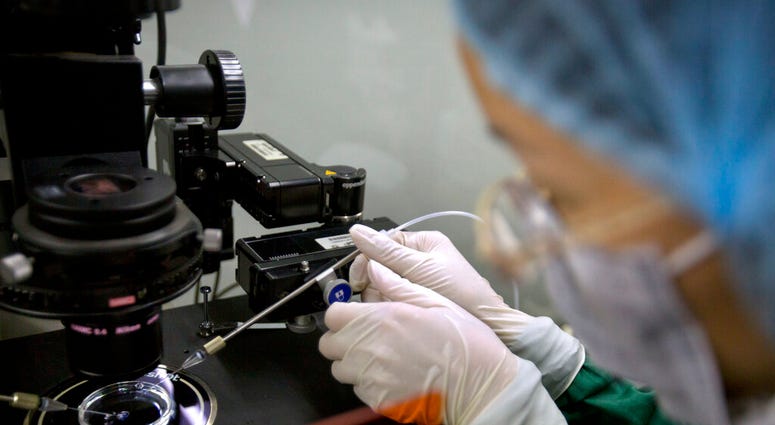 A researcher installs a fine glass pipette into a microscope in preparation for injecting embryos with Cas9 protein and PCSK9 sgRNA at a lab in Shenzhen in southern China's Guandong province. (AP Photo/Mark Schiefelbein, File) A researcher installs a fine glass pipette into a microscope in preparation for injecting embryos with Cas9 protein and PCSK9 sgRNA at a lab in Shenzhen in southern China's Guandong province. (AP Photo/Mark Schiefelbein, File)
