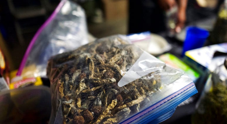 A vendor bags psilocybin mushrooms at a pop-up cannabis market in Los Angeles on Monday, May 6, 2019. Voters decide this week whether Denver will become the first U.S. city to decriminalize the use of psilocybin, the psychedelic substance in "magic mushro