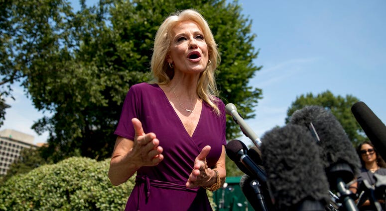 Counselor to the President Kellyanne Conway speaks to members of the media outside of the West Wing on the North Lawn of the White House in Washington, Wednesday, Aug. 7, 2019. (AP Photo/Andrew Harnik)