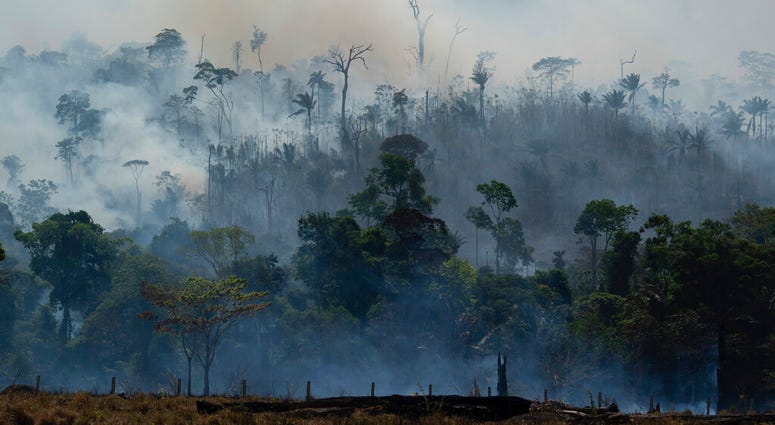 Fire consumes the Amazon rainforest in Altamira, Brazil, Tuesday, Aug. 27, 2019. Fires across the Brazilian Amazon have sparked an international outcry for preservation of the world's largest rainforest. (AP Photo/Leo Correa)