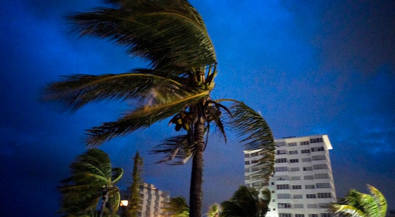 Strong winds move the palms of the palm trees at the first moment of the arrival of Hurricane Dorian in Freeport, Grand Bahama, Bahamas, Sunday Sept. 1, 2019.