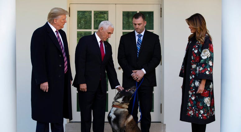 President Donald Trump, Vice President Mike Pence, and first lady Melania Trump stand with Conan, the U.S. Army dog that participated in the raid that killed ISIS leader Abu Bakr al-Baghdadi, in the Rose Garden of the White House, Monday, Nov. 25, 2019, i