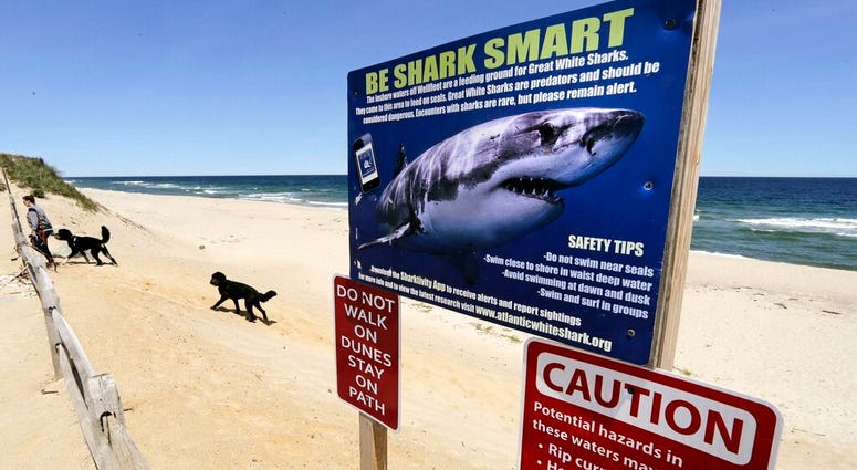 FILE - In this May, 22, 2019, file photo, a woman walks with her dogs at Newcomb Hollow Beach in Wellfleet, Mass., where a boogie boarder was bitten by a shark in 2018 and later died of his injuries.