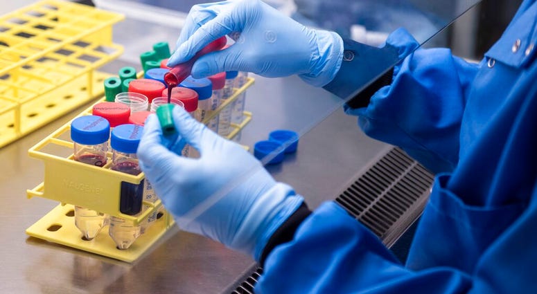 In this handout photo released by the University of Oxford blood samples from coronavirus vaccine trials are handled inside the Jenner Institute in Oxford, England Thursday June 25, 2020.