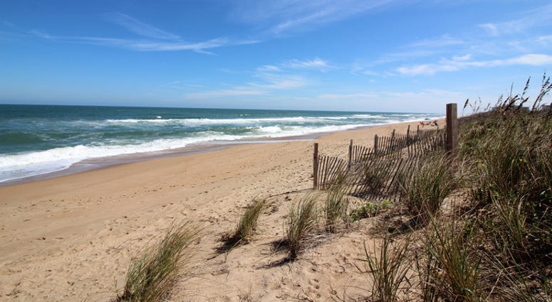 Beach in Kitty Hawk on the Outer Banks of North Carolina