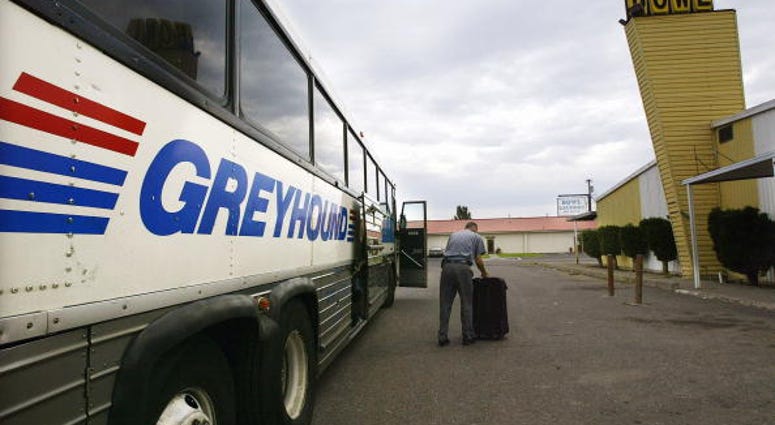 Greyhound bus
