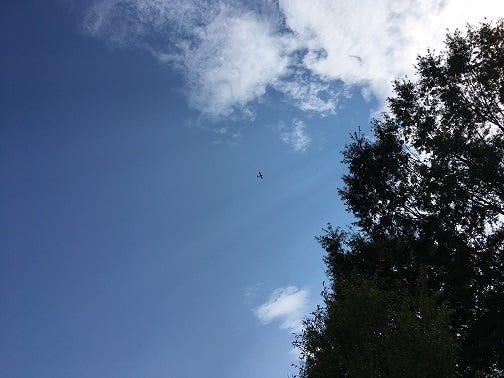 Chesterfield Police plane searches for Joshua Federico over the Deer Run neighborhood on August 26, 2018. (Matt Demlein, WRVA)
