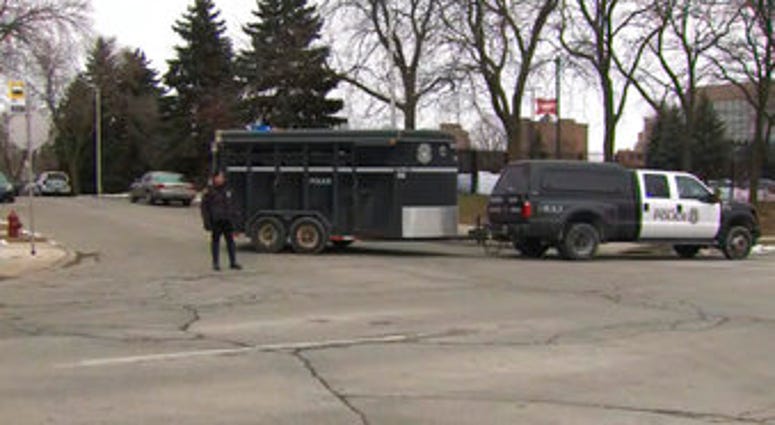 This image provided by WISN-TV, police respond to a possible shooting at the MillerCoors campus in Milwaukee on Wednesday, Feb. 26, 2020. (WISN-TV via AP) This image provided by WISN-TV, police respond to a possible shooting at the MillerCoors campus in Milwaukee on Wednesday, Feb. 26, 2020. (WISN-TV via AP)